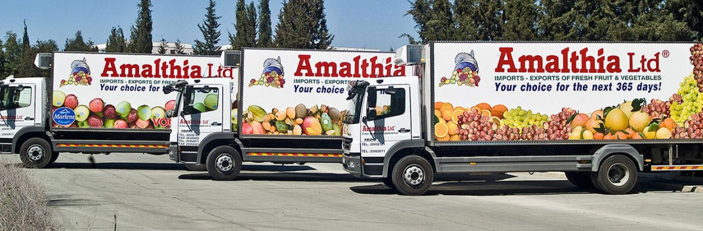 نکات نگهداری کامیون های یخچال دار و ماشین های حمل مواد غذایی