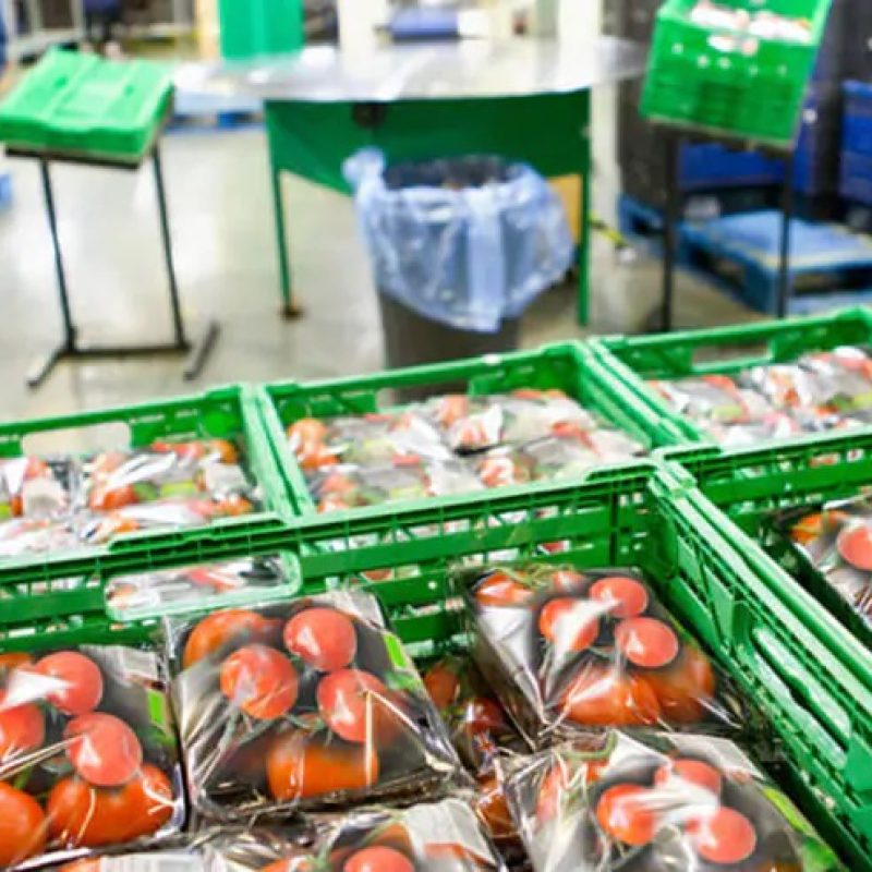 حمل مواد غذایی حساس به دما