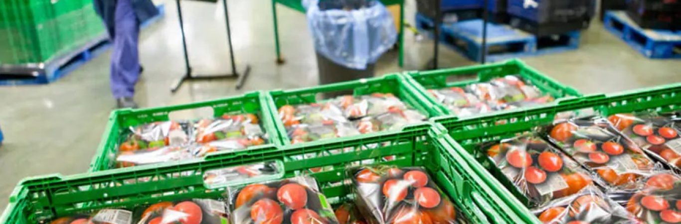 حمل مواد غذایی حساس به دما