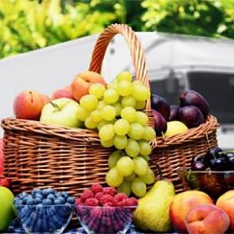 سردخانه میوه - نکات مهم در یخچال های حمل میوه