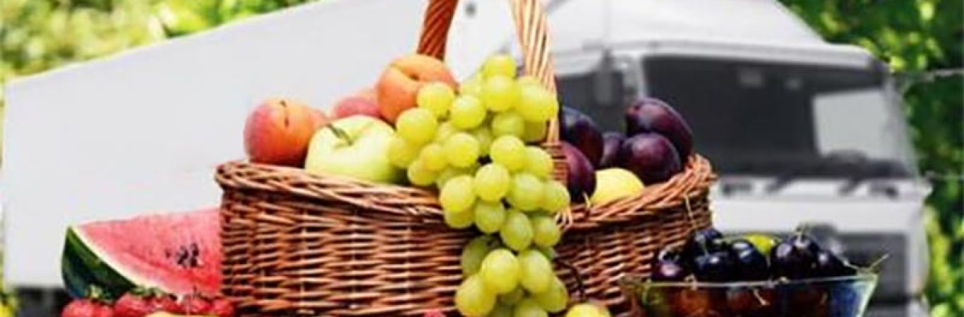 سردخانه میوه - نکات مهم در یخچال های حمل میوه