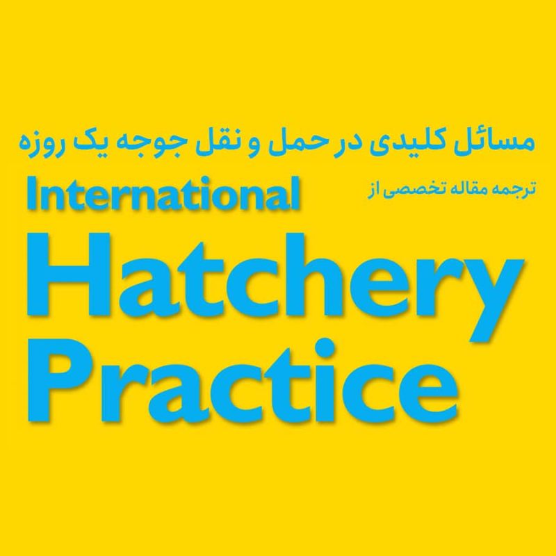 مسائل کلیدی در جریان حمل جوجه های یک روزه