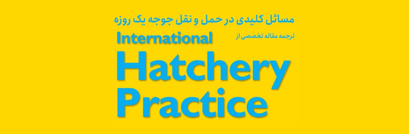 مسائل کلیدی در جریان حمل جوجه های یک روزه