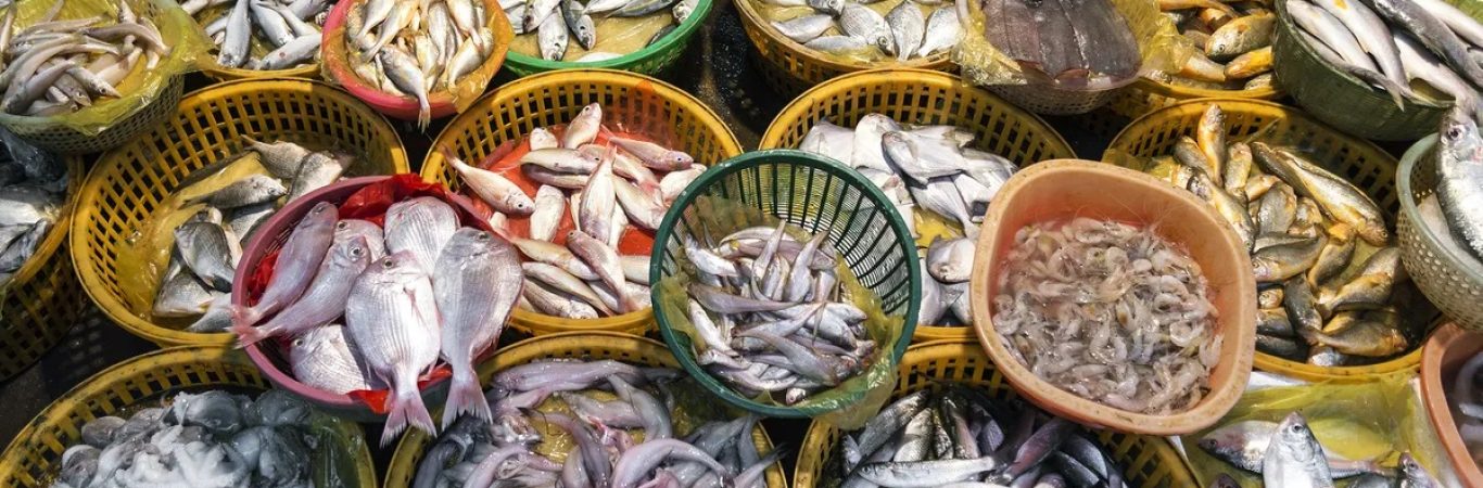 چالش های حمل و نقل ماهی و میگو Perishable Goods and the Need for Refrigerated Transport